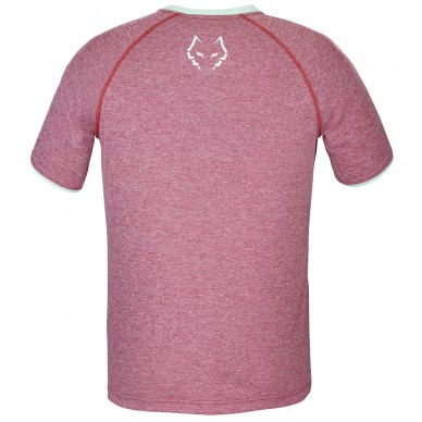 Babolat Crew Neck Tee Lebron rode t-shirt