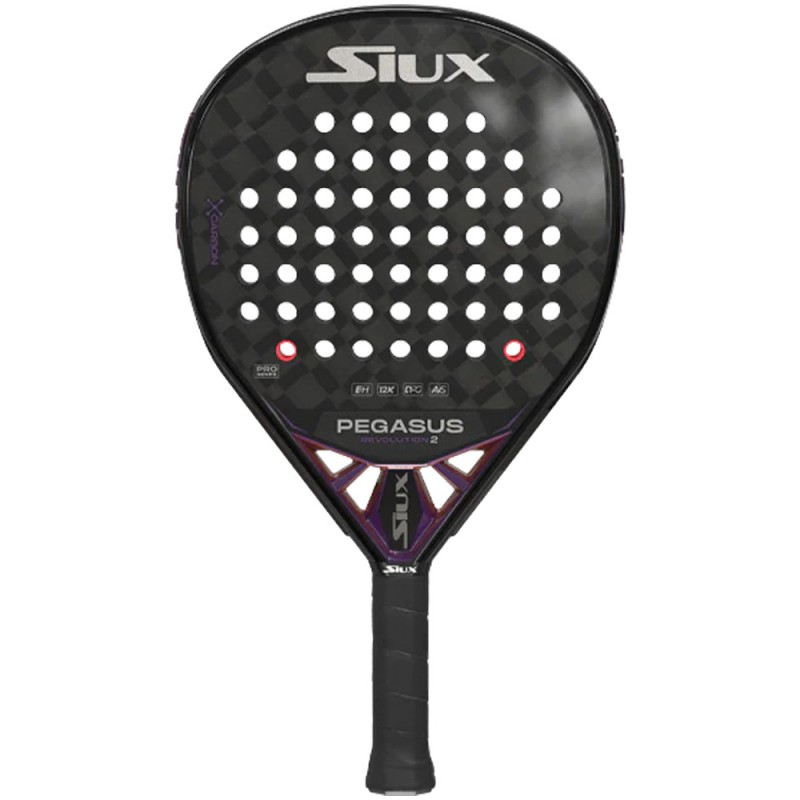 Siux Pegasus Revolution 2 2024