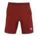 Tecnifibre Team rood Shorts